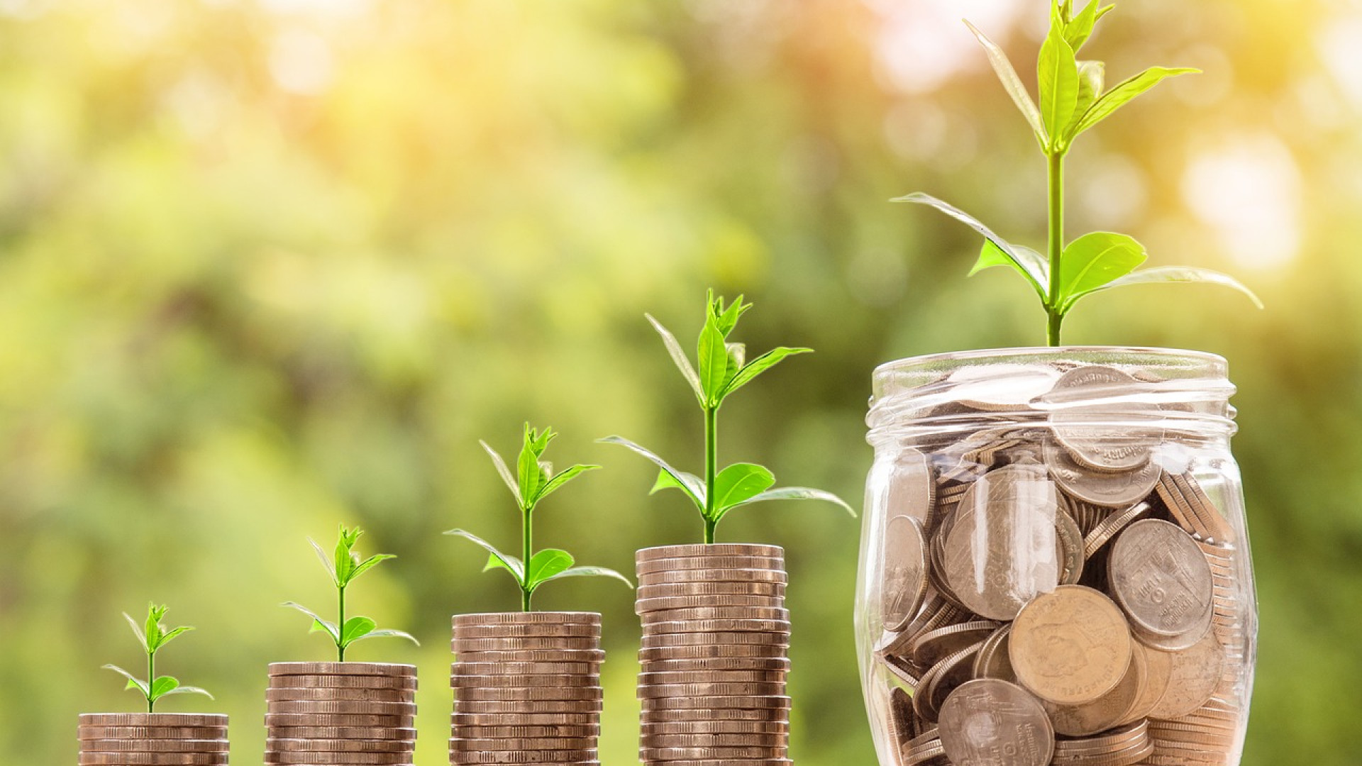 Tout ce que vous devez savoir sur la gestion financière !