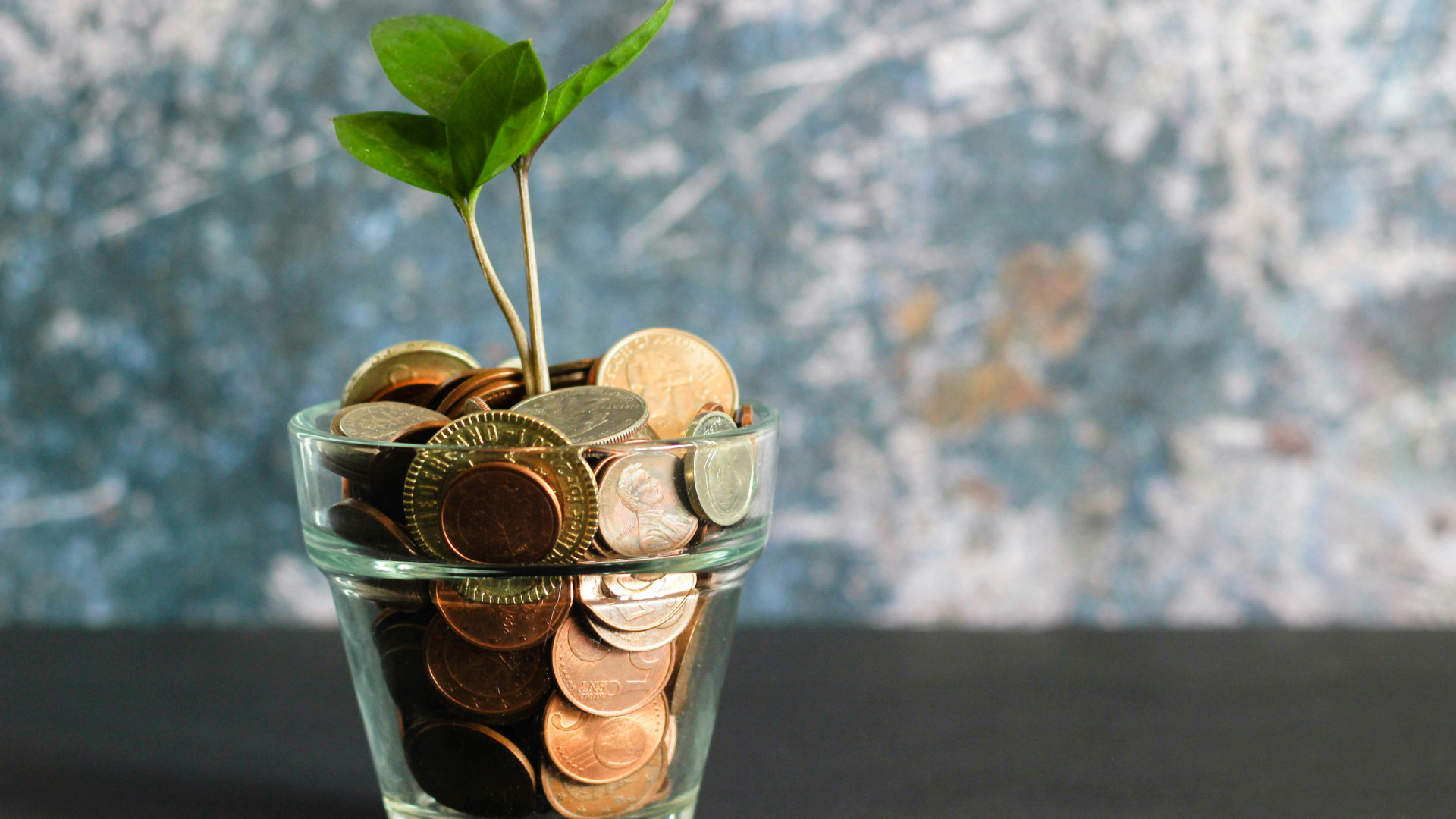 Quels sont les types d'investissements les plus intéressants en ce moment ?