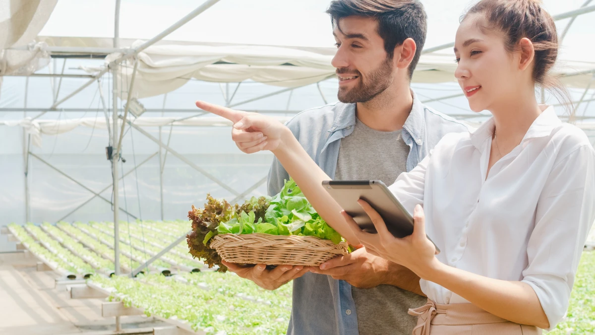 Cultiver la performance : les clés pour une entreprise performante et innovante